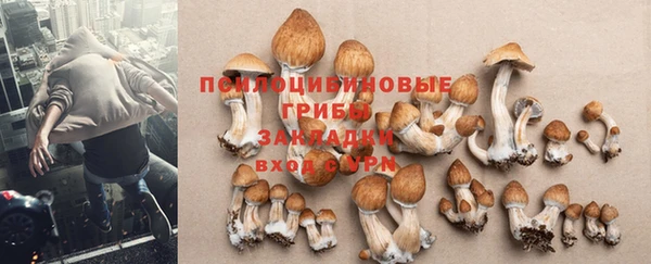 MESCALINE Волосово