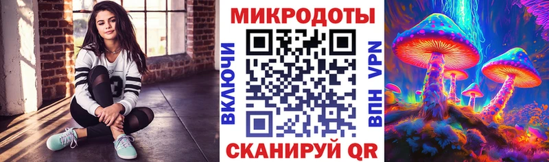 блэк спрут как войти Вологда Псилоцибиновые грибы MAGIC MUSHROOMS